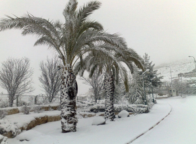 Снегопад прошел по северу Израиля