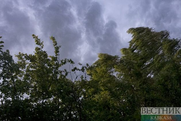 Крымчан предупредили о сильном дожде и ветре