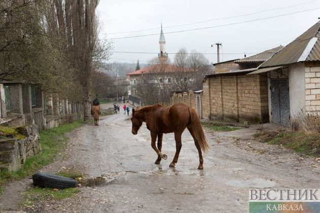 Двое разбились из-за лошади в Зольском районе