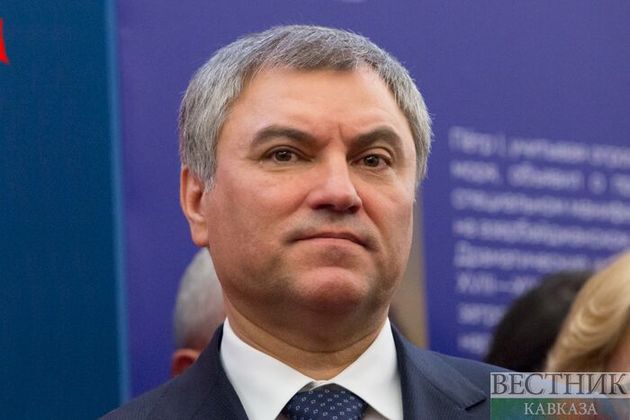 Киев ввел санкции в отношении спикера Госдумы Вячеслава Володина