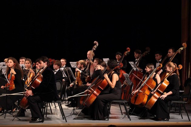 В Тбилиси появится молодежный симфонический оркестр 