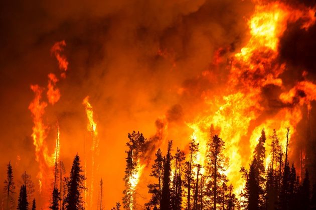 Лесной пожар тушат в Гурия