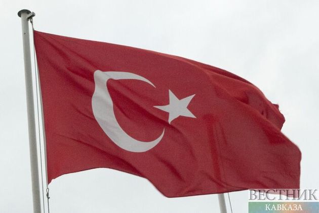 Турция отчиталась о задержаниях нелегальных мигрантов