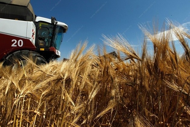 Ставрополье намерено довести экспорт сельхозпродукции до $1 млрд