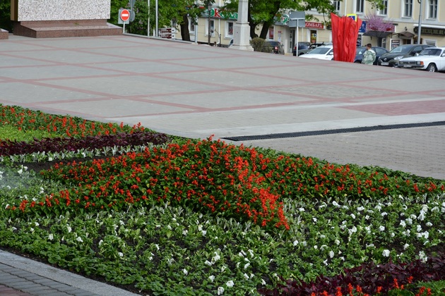 "Вечный огонь" украсили звездой из цветов в Ставрополе