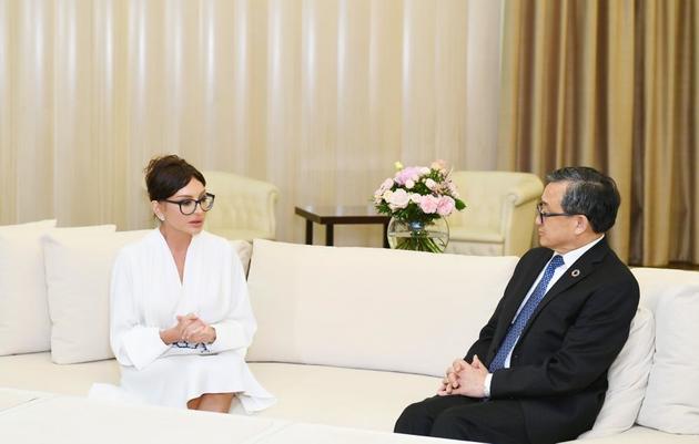 Мехрибан Алиева провела встречу с заместителем генсека ООН 