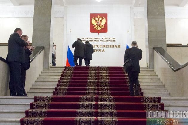 В Госдуме подтвердили встречу с депутатами от "Альянса патриотов Грузии"  