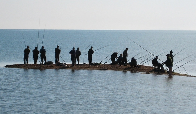 Соревнования по спортивной рыбалке пройдут в Сочи 