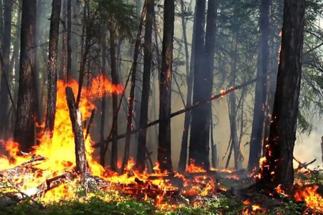 Жителей Ставропольского края предупредили о высокой пожароопасности
