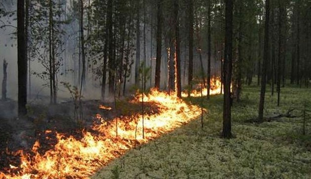 В лесничестве в Карачаево-Черкесии тушат пожары