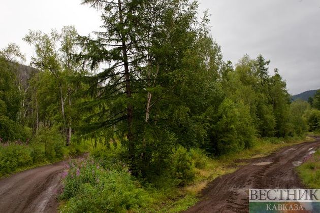 Хвойный парк появится на месте полигона ТКО в Грозном