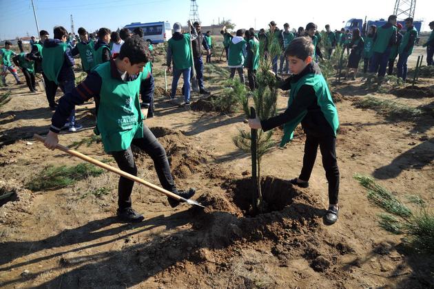 Общественное объединение "Региональное развитие" организовало посадку деревьев в Сураханском районе