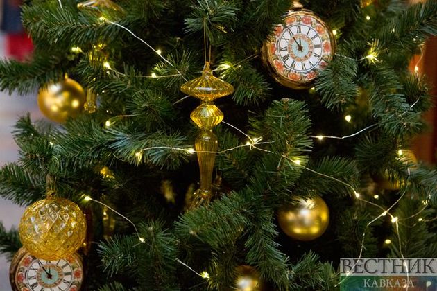Пашинян велел чиновникам и депутатам праздновать Новый год на родине