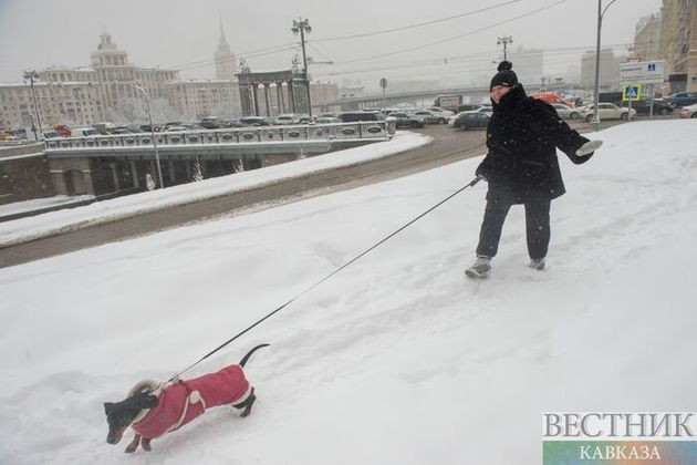 Синоптик рассказал, на сколько задержится снег в Москве