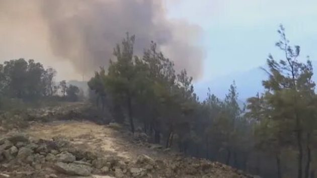 В Турции ликвидированы все угрожавшие людям лесные пожары