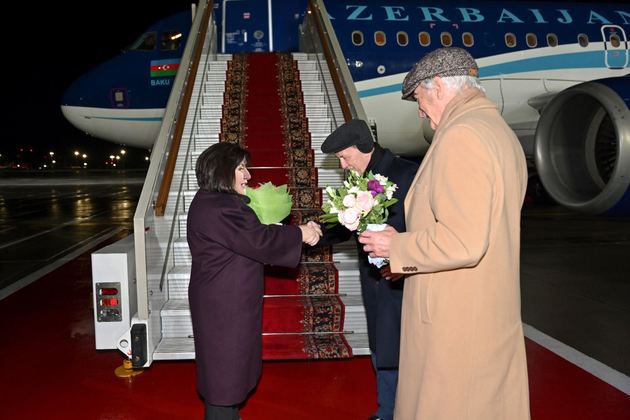 Председатель азербайджанского парламента прилетела в Москву