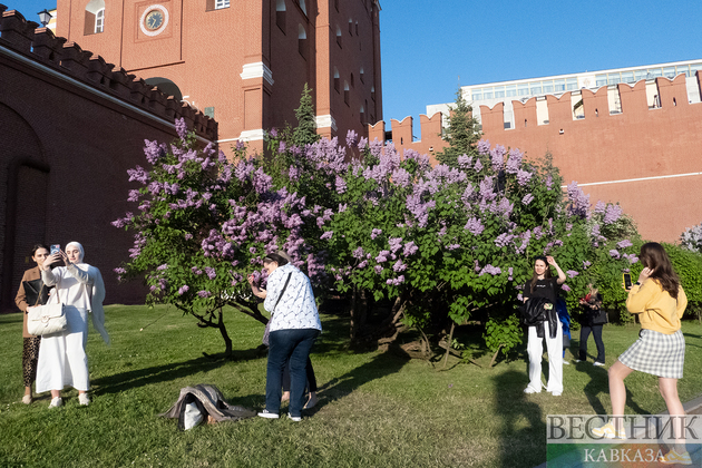 Люди фотографируются на фоне сирени в Александровском саду