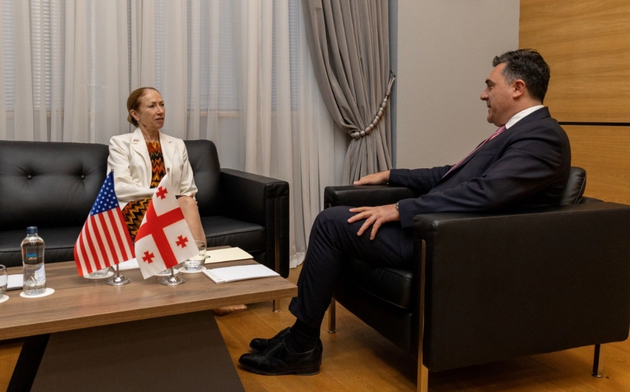 Посол США Келли Дегнан и глава МИД Грузии Ильи Дарчиашвили