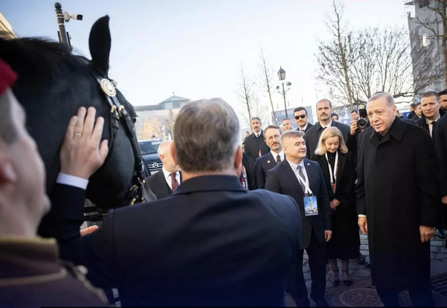 Конь по кличке Аристократ, подаренный премьер-министром Венгрии Виктором Орбаном президенту Турции Реджепу Тайипу Эрдогану