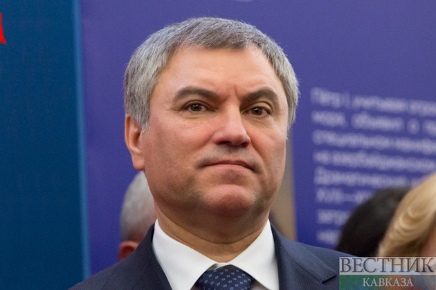 Матвиенко и Володин получили письма временного главы ПАСЕ