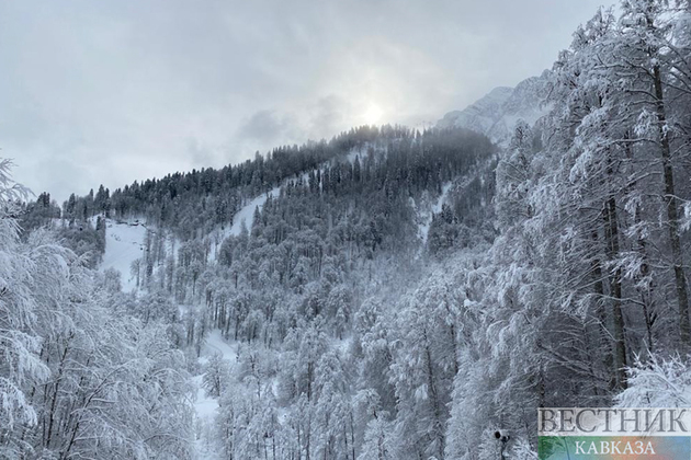 "Роза Хутор" возглавил рейтинг самых популярных сноубордических курортов России