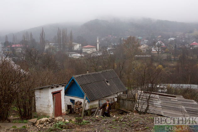 Птица обесточила села в Крыму 