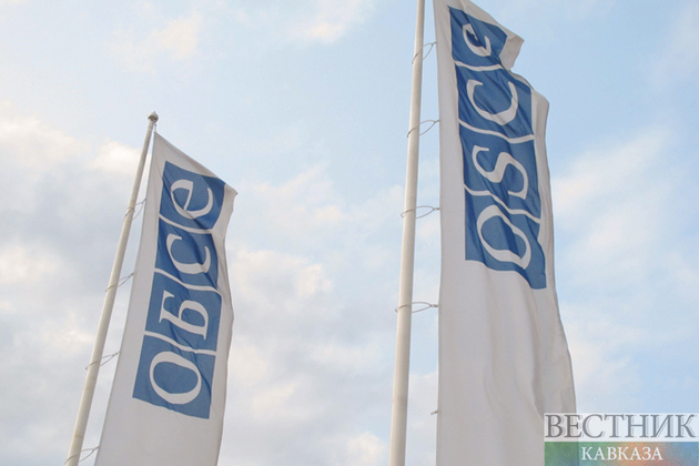 ОБСЕ проведет спецвстречу из-за конфликта России и Украины