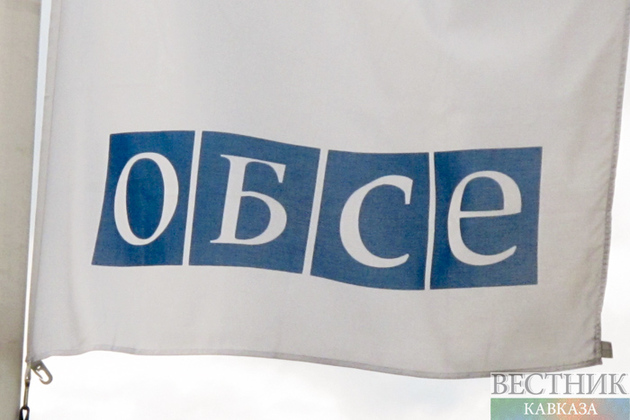 ОБСЕ провела мониторинг на границе Азербайджана и Армении