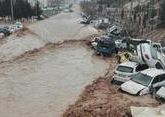 Наводнения в Иране унесли уже 67 жизней - СМИ
