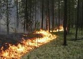 В Боржомском ущелье горит лес 