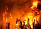 Трамп предложил Путину помощь в тушении лесных пожаров 
