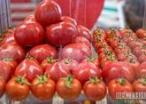 Чеченские аграрии будут поставлять халяль-овощи на Ближний Восток 