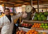 Минсельхоз КЧР обеспечит хранение 20 тысяч тонн фруктов