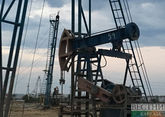 В США сообщили об отсутствии контроля за нефтяными ценами