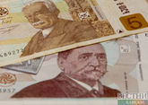Лари стал одной из самых быстрорастущих валют в мире