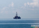 Черноморский газ с &quot;Сакарья&quot; придет в Турцию в апреле