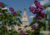 Сирень цветет в Москве