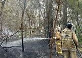 Лесной пожар в Абайской области: найдена еще одна жертва