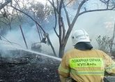 Крупный природный пожар потушили в Анапе