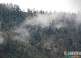 Лес горит в Абхазии – пылает гора Мамзышха