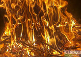 Пожар в лесу Вайоцдзорской области удалось локализовать