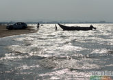 Буря на иранском побережье Каспия унесла четыре жизни - СМИ