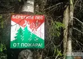 Три гектара леса сгорели на Кубани