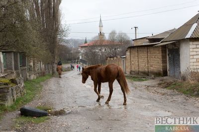 Двое разбились из-за лошади в Зольском районе