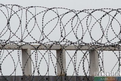 Глава Минприроды арестован на два месяца в Северной Осетии