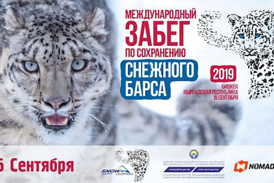 Международный полумарафон по сохранению снежного барса пройдет в Бишкеке