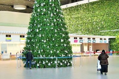 В воздушной гавани Симферополя установили 12-метровую новогоднюю ель