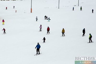 Боржоми и Бакуриани могут принять зимний молодежный олимпийский фестиваль