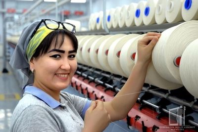 Узбекистан хочет прекратить экспорт хлопка-сырца