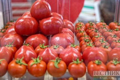 Чеченские аграрии будут поставлять халяль-овощи на Ближний Восток 